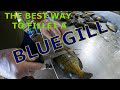 HOW TO CLEAN A BLUEGILL| RIP AND TEAR METHOD??