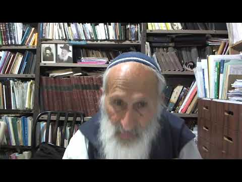 TORA DANS LES TOILLETTES