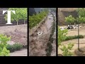 Cars washed away during heavy floods in Spain