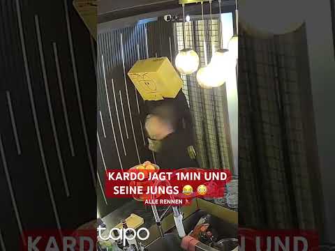 KARDO JAGT 1MIN UND SEINE JUNGS😂‼️ #kardo #gotti #bangwhite #xwave #1min #shorts