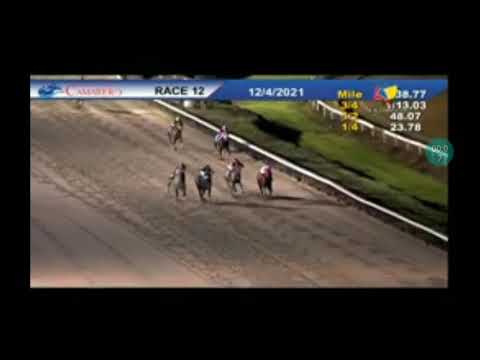 Copa Confraternidad del Caribe 2021 El Santo (Mex)