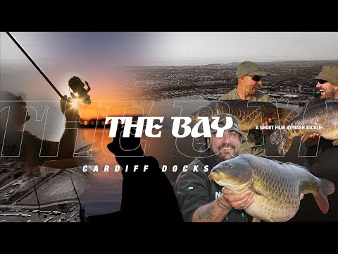 The Bay | Wild Carp Fishing for the Unknown | Jason Massay & Andrew Riste