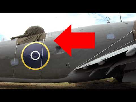 The Flying Mistake That Actually Worked