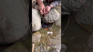 Pag lumabas akin sya #fishing #freshwaterfish #fishingvideo #fishspecies #adventure #carpfishing