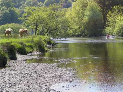 The Carmarthen Oak - Brendan Shine - Say No To The Liverpool Care Pathway - See Description