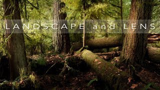 Download lagu Using a WIDE ANGLE  and short TELEPHOTO lens effectively mp3