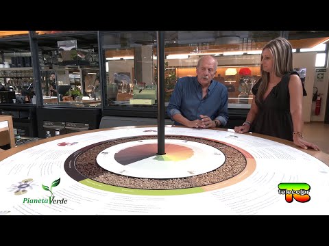 Pianeta Verde: accademia del caffè a Fiesole (Fi)