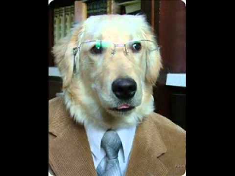 Globo Esporte - Programa nº1