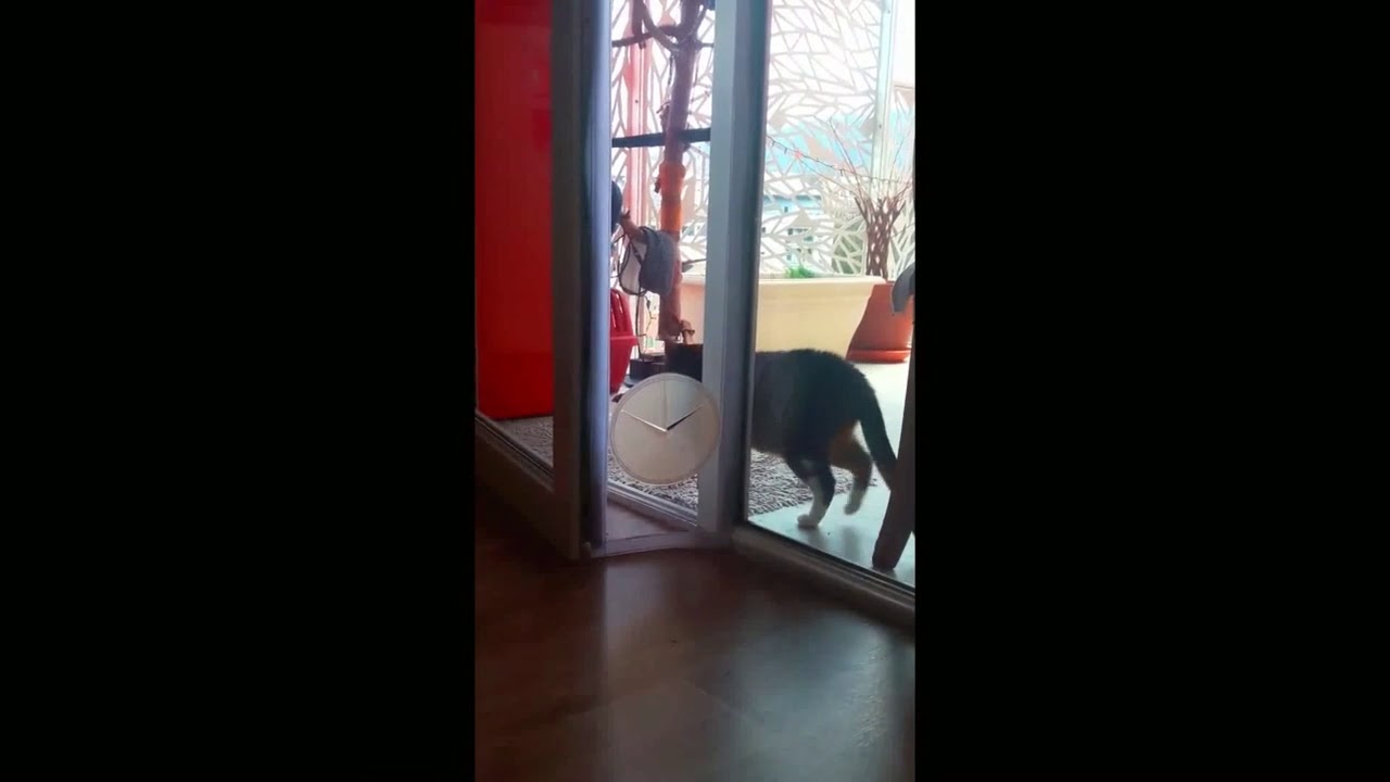 Chatière pour baie vitrée sans percer, sans trou !