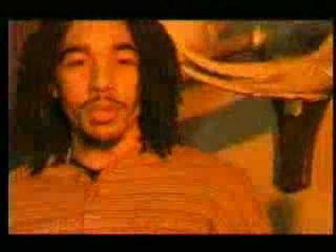 E-life - Stacked with honors