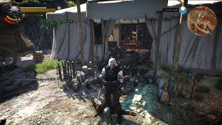 Witcher 3 combat with mods