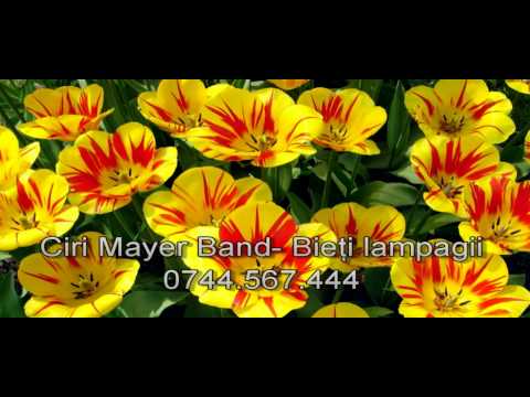 Ciri Mayer Band - Bieti lampagii