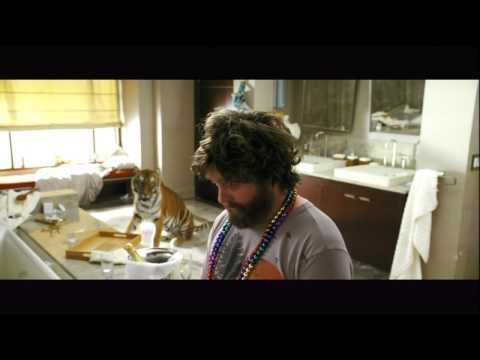 The Hangover Teaser Video