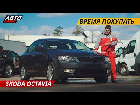 Слабые места Skoda Octavia | Подержанные автомобили