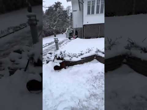 Extremt mycket snö under kort tid