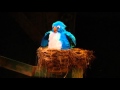 Shrek S Exploding Bird