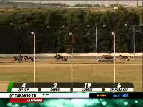 26/05/2014, Taranto , Premio Ant.penzivecchia C.naz.