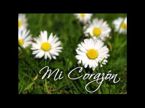 MARCELA GANDARA       FLUYE EN MI  CON LETRA