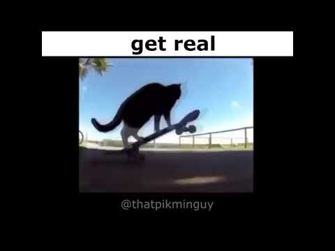 remix 8 - get real cats (full)