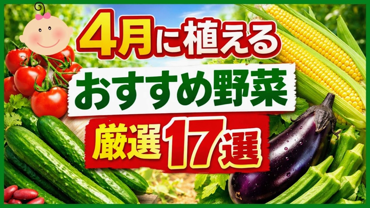 春には必ずコレを植えろ！初心者でもたくさん収穫できるおすすめ野菜17選♪4月に植える野菜【プランター・家庭菜園】