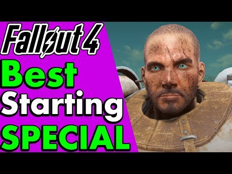 Fallout 4: Best Starting Special Stats to Start With (Melee, Survival & Beginners) #PumaThoughts
