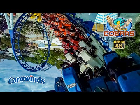 On-ride point of view of Flying Cobras