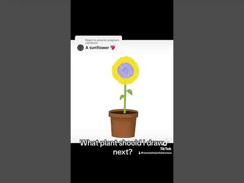 A Happy Little Sunflower!#digitalart #learning #sunflower #flowerpot #plants #procreate
