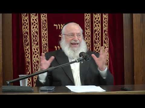 The Mitzvah of Sefiras HaOmer | Weekly Shiur by Harav Asher Weiss Shlita | 5784