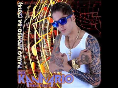 IGOR KANNÁRIO (PAULO AFONSO-BA 2014) - CAMISA COLORIDA