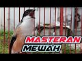 MASTERAN CENDET FULL ISIAN MEWAH | MASTERAN CENDET TROTOL