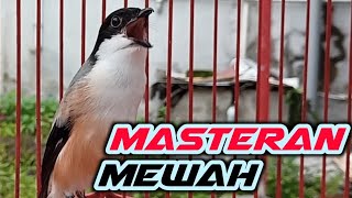 Download lagu MASTERAN CENDET FULL ISIAN MEWAH | MASTERAN CENDET TROTOL mp3 Download lagu MASTERAN CENDET FULL ISIAN MEWAH | MASTERAN CENDET TROTOL mp3