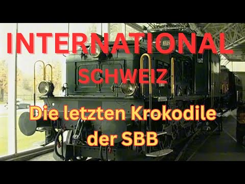 Die letzten Krokodile der SBB - 🥇 Sieger der Umfrage