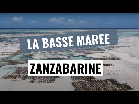 Bassa marea a Zanzibar @cantaviaggi