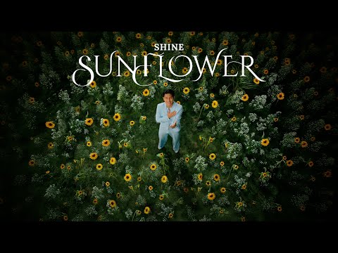 SHINE - Sunflower [ 𝐎𝐟𝐟𝐢𝐜𝐢𝐚𝐥 𝐌𝐮𝐬𝐢𝐜 𝐕𝐢𝐝𝐞𝐨 ]