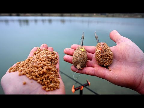 Pecanje Šarana u kasnoj Zimi- FEEDER RIBOLOV ONTARIO ZAGREB