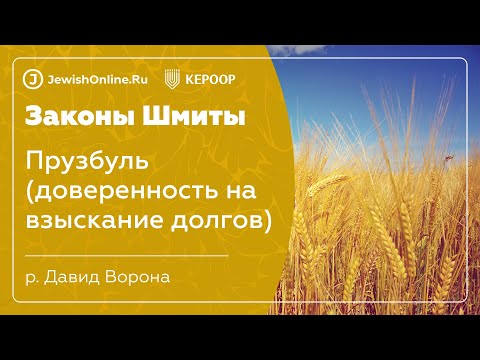 Законы шмиты. Урок 29. Прузбуль (доверенность на взыскание долгов)