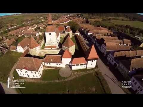 Silent Roots Archita