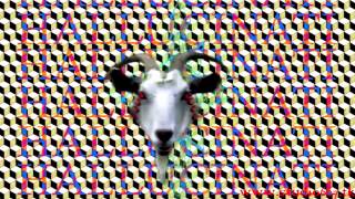 psychedelic goat