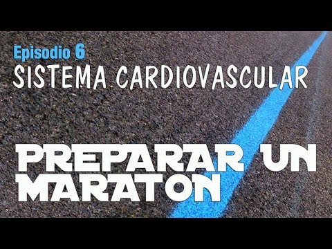 ¿Por qué tienes que realizar un buen calentamiento antes de hacer series?