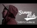 Blink-182 - I Miss You (Sammy Irish Acoustic Cover ...