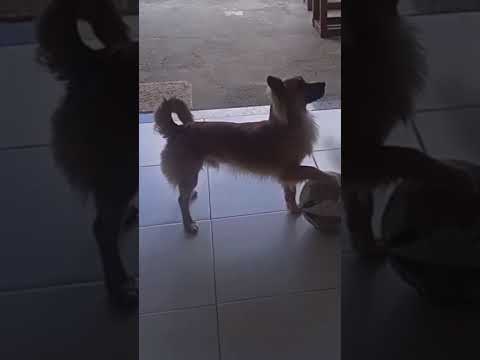 procura-se ,Alagoinhas Ba