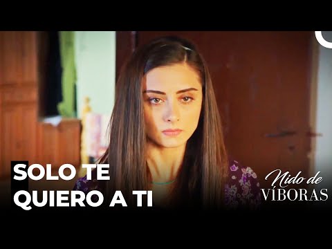 El Amor De Ejder De Elvan - Nido De Víboras