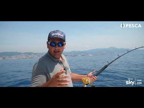 Traina con il vivo usando l'Alaccia come esca. Cattura di un bel dentice con strike in diretta