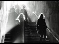 Rivulets - Morning Light 