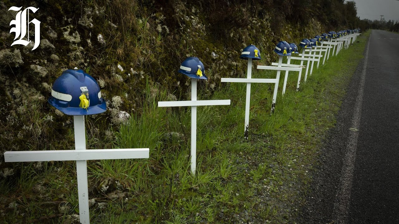 South Island stories you need to know today with Claire Sherwood | Herald NOW