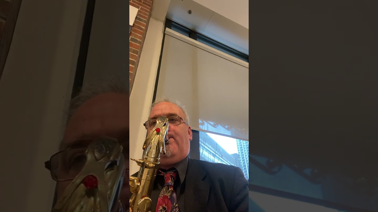 Promotional video thumbnail 7 for Todd Brunel Musical Groups