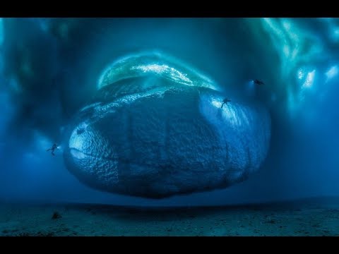 Wildlife Photographer of the Year's "Earth's Environments" category