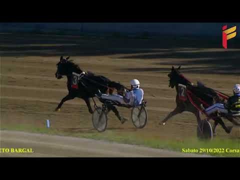 II Corsa del 29 ottobre 2022 - Cat.G/F - Metri 2000/2020