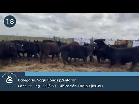 Lote VQ P/ Entorar - MAIPÚ BS AS