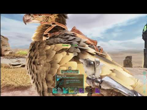 Surviving Extreme Heat and Sandstorms in Ark Survival Ascended Scorched Earth Ep 71